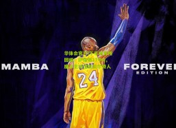 华体会官方|下半场有所回暖！萨格斯17中4，魔术主场惜败凯尔特人