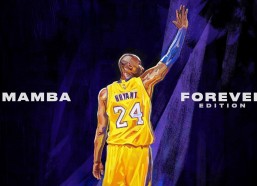 华体会娱乐：阿联酋重启球迷入场政策，国足沙迦战役面临机遇与挑战