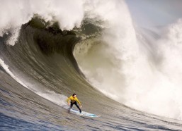 华体会登陆入口：欧联杯激战，勒沃库森2-2纽卡斯尔，戈登传射乌龙世界波交织