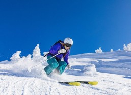 华体会入口|观察，荷兰前锋线进球乏力成常态，明年战术体系恐难革新